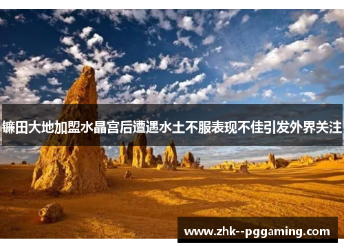 镰田大地加盟水晶宫后遭遇水土不服表现不佳引发外界关注